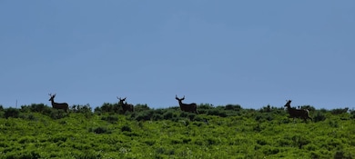 22040 Snowbird Dr, Helper, UT 84660 - photo 2