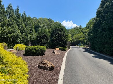 0 River Rapids Way Lot 5 Way, Del Rio, TN 37727 - photo 7