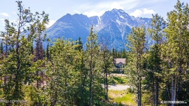 Pioneer Peak View