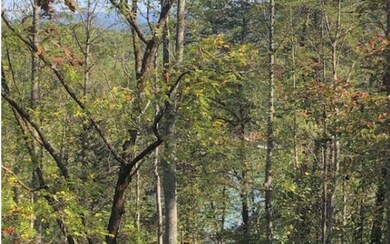 Additional View