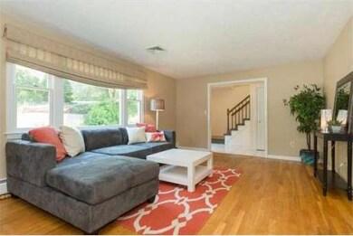 43 Brand St, Arlington, MA 02474 - photo 4