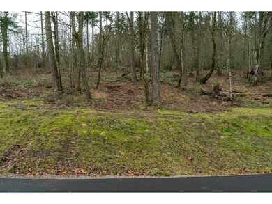 0 Moon Mountain Dr unit Lot98 19464585, Eugene, OR 97403 - photo 2