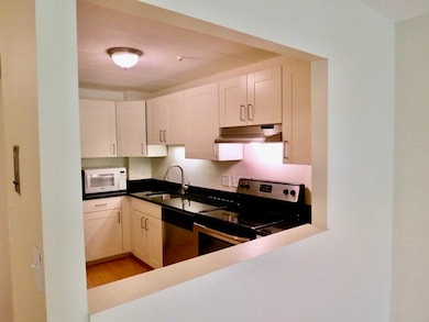 44 Concord Ave unit 303, Cambridge, MA 02138 - photo 3