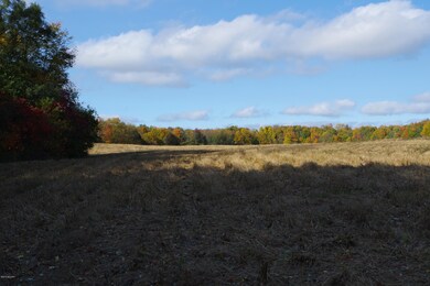 field 2
