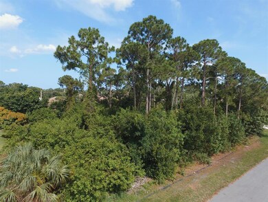 2367 SW Ludlow St, Port Saint Lucie, FL 34953 - photo 2