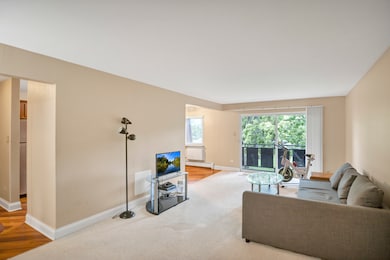 2604 N Windsor Dr unit 206, Arlington Heights, IL 60004 - photo 3