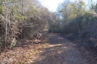 3.4964BloomfieldRdDriveway