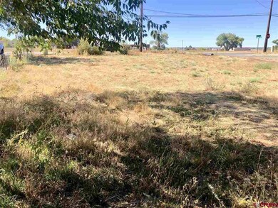 710 N Mildred Rd, Cortez, CO 81321 - photo 3