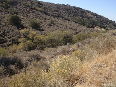 17691 Mountain Climber Way, Tehachapi, CA 93561 - photo 3