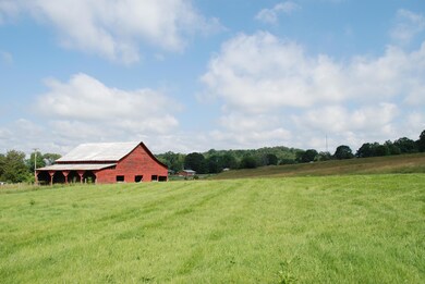 0 Roach Rd unit 1006583, Rutledge, TN 37861 - photo 7