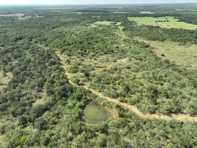 0 County Road 424, Waelder, TX 78959 - photo 3