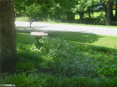 Yard/Garden - Front yard