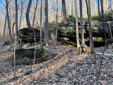 22 Pauls Creek Ct, Nellysford, VA 22958 - photo 7