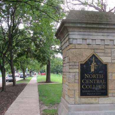 724 N Loomis St, Naperville, IL 60563 - photo 6