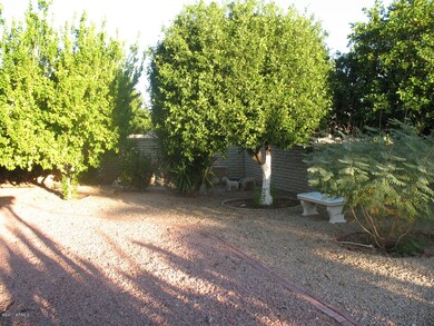 Six fruit trees--tangarine and lemon
