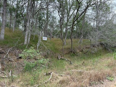 View of local wilderness