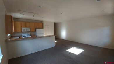 E Animas Village Ln, Durango, CO 81301 - photo 3