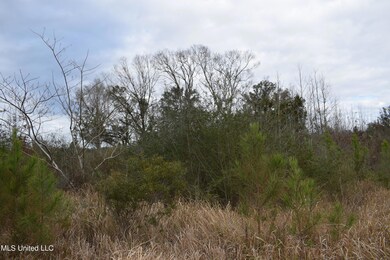 6.50+/- Ac Highway 63 S, Lucedale, MS 39452 - photo 3