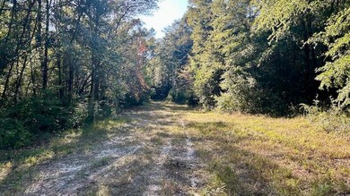 0 Lloyd Mill Rd unit LotWP001, Andalusia, AL 36421 - photo 4