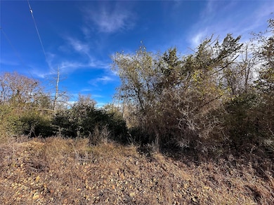 243 Hanauma Dr, Bastrop, TX 78602 - photo 6