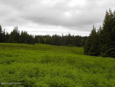 FIELDS OF FIREWEED