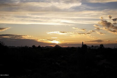 102 Gambel Quail Sunset.jpg