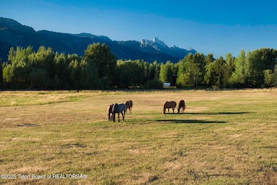 4585 W Highway 22, Wilson, WY 83014 - photo 4