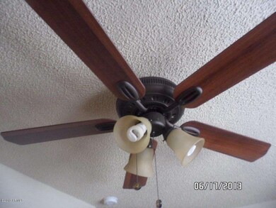 New Fans
