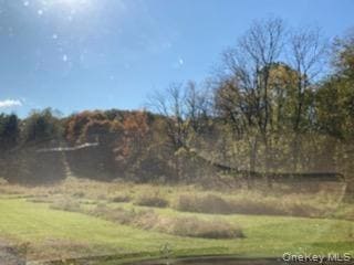 0 Primrose Hill Rd unit KEY827553, Red Hook, NY 12572 - photo 3