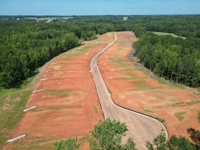 107 Gretta Trail, Pendleton, SC 29681 - photo 5