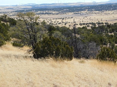 274 Deer Cir, Quemado, NM 87829 - photo 5