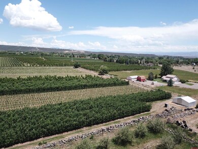 Lot 2 NW Cedar Ave, Cedaredge, CO 81413 - photo 4