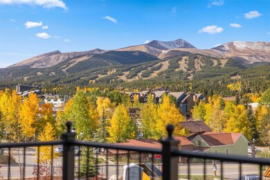 203 N Ridge St unit B, Breckenridge, CO 80424 - photo 3