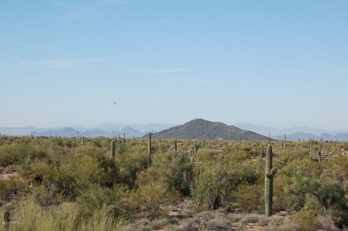 View of Lone Mountain