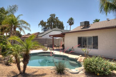 Utopia Backyard 4