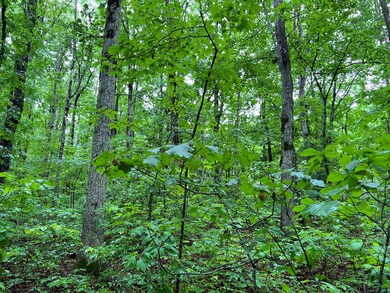 0 Burgess Loop unit 210762, Crossville, TN 38572 - photo 4