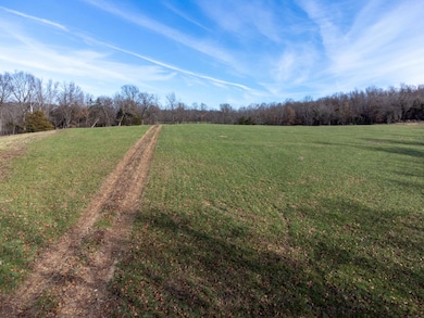 000 S 120th Rd, West Looney Township, MO 65710 - photo 7