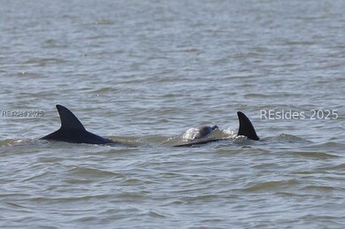 26 Benjies Point Rd, Daufuskie Island, SC 29915 - photo 7