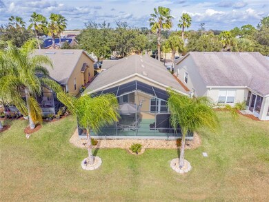 Newly planted Palm Trees