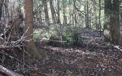 Additional View