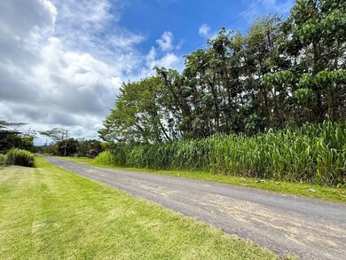 18TH Ave, Keaau, HI 96749 - photo 3