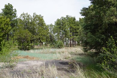 781 Bushman, Show Low, AZ 85901 - photo 4