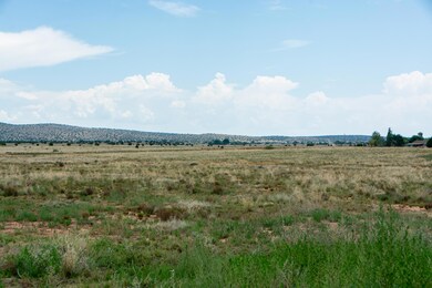 000 N Riesling Ln, Paulden, AZ 86334 - photo 2