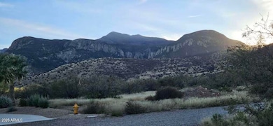 1.25 Acres E Emma Lane (Lot 2) Ln, Hereford, AZ 85615 - photo 5
