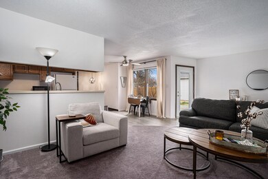 Open Concept