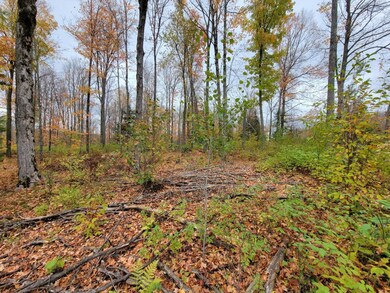 ON Cth A unit Lot 1, Deerbrook, WI 54424 - photo 7