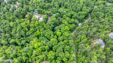 DJI_0724
