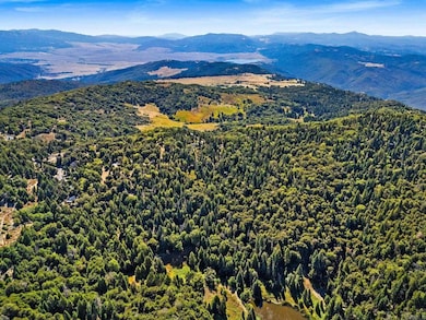 22520 Greenfield Way, Palomar Mountain, CA 92060 - photo 7