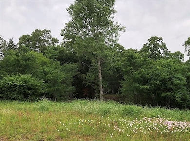 View of undeveloped land
