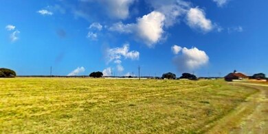 7131 Sandy Oaks Dr, Whitney, TX 76692 - photo 3